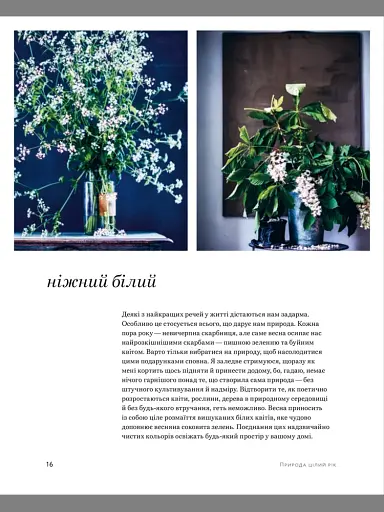 Натхнення природою. Створюємо індивідуальні та природні інтер’єри - фото 5
