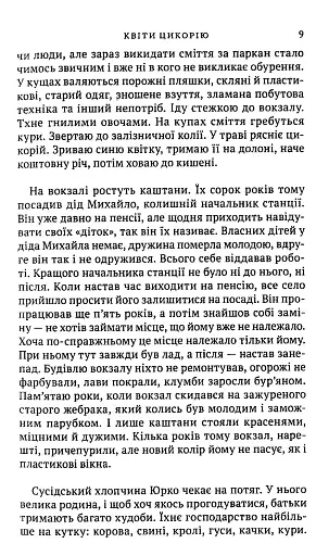 Квіти цикорію - фото 7