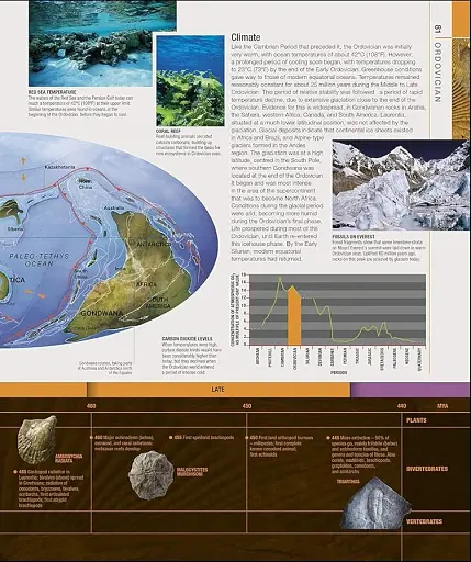 Dinosaurs and Prehistoric Life. The Definitive Visual Guide - фото 4