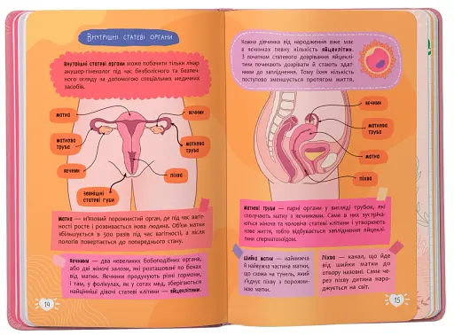 Путівник підлітка. Усе про місячні - фото 4