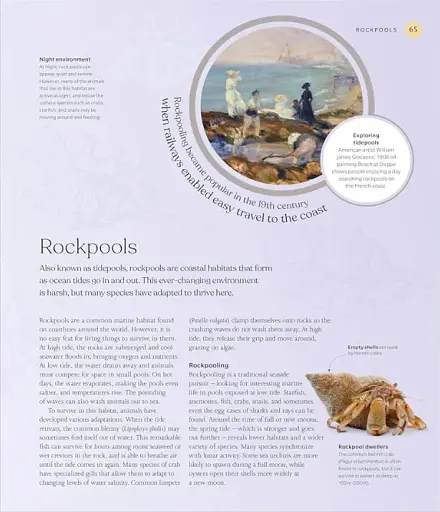 The Ocean Book: The Stories, Science, and History of Oceans - фото 6