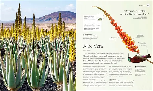 The Herb Book - фото 6