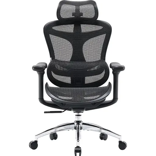 Крісло офісне Sihoo Doro C300L Mesh Black (DORO-C300L-A3-101)