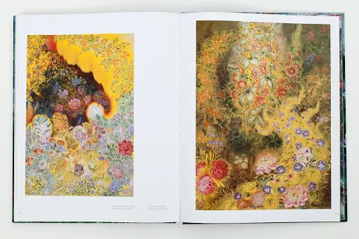 Катерина Білокур. Мистецька заповідь - фото 5