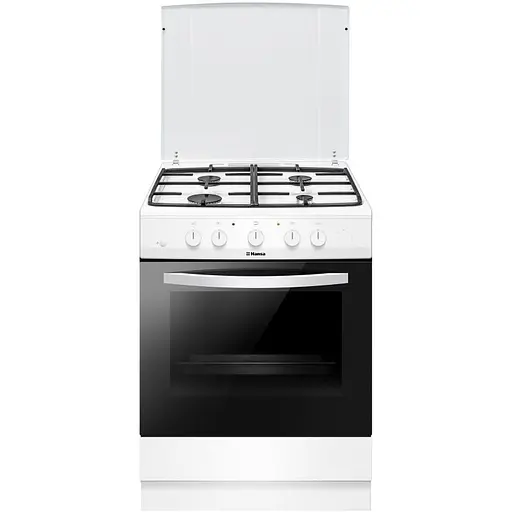 Газовая плита Hansa FCGW620554