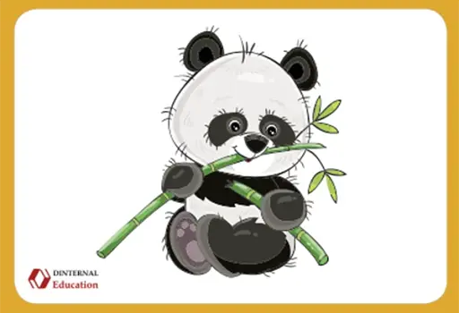 Primary school Flashcards 1. Український компонент - фото 3