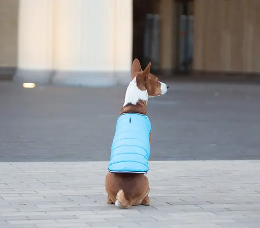 Курточка-накидка для собак AiryVest, M, B 52-62 см, С 36-47 см блакитний [CD] - фото 7