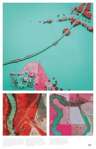 World Press Photo Yearbook 2023 - фото 2