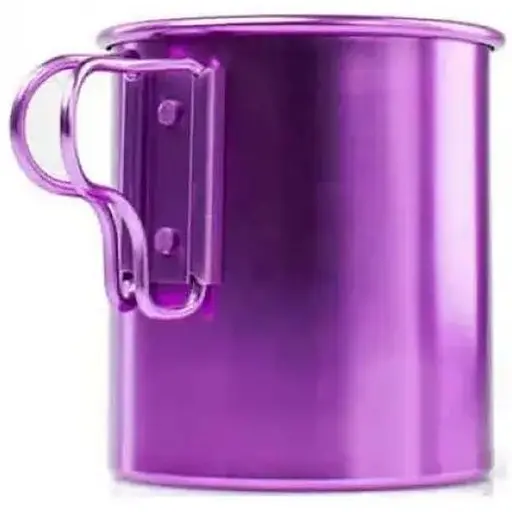 Кружка GSI Outdoors Bugaboo 14 Fl Oz Cup Пурпурный (1099-43218)
