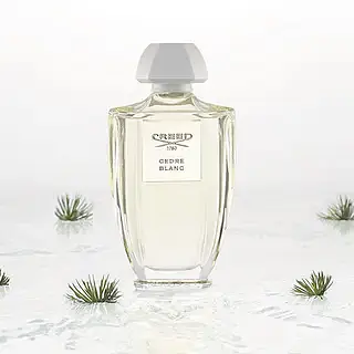 Парфюмированная вода Creed Acqua Originale Cedre Blanc 100 ml - фото 2
