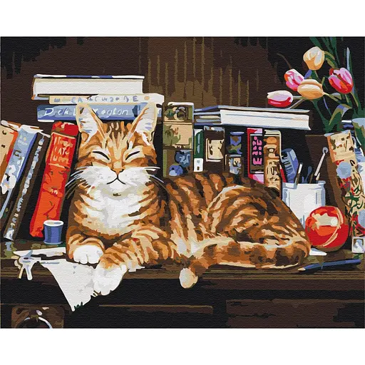 Картина за номерами Кіт на книжковій полиці Brushme 40x50 см кольорова 000221401
