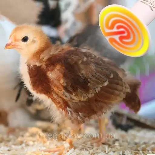 Лампа для обогрева террариума DERNORD Reptile Heat Lamp E27 , 75 Вт для рептилий - фото 4