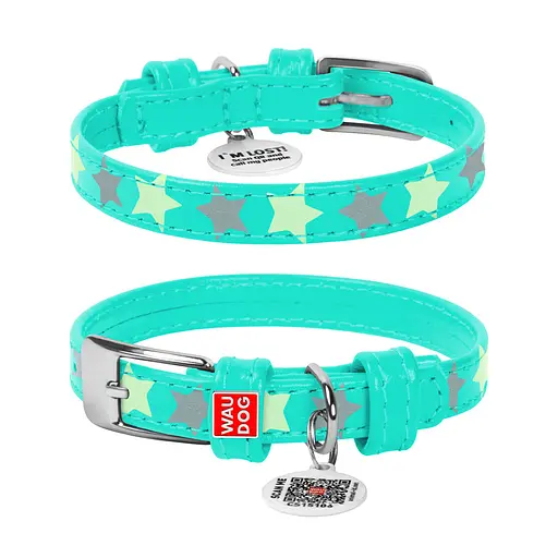 Ошейник для собак кожаный Waudog Glamour с QR-паспортом узор "Звездочка" светонакопительный/светоотражающий XS Ш 12