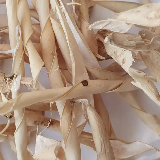 100 г квасоля стулки сушені - свіжий урожай