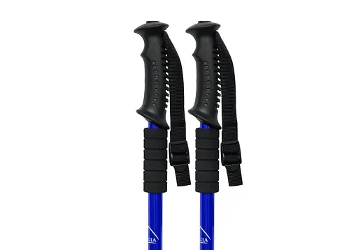 Палка для скандинавської ходьби EasyFit Energia синя 1 шт (EF-3924-BL) - фото 3