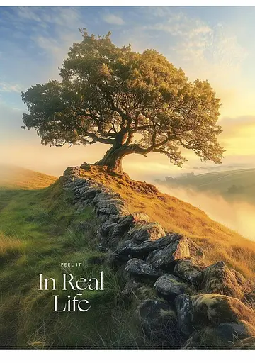 Комплект 3 шт загальних зошитів. Зошит Школярик А4 80 арк. у лінію 5249 4823088248531 - фото 4