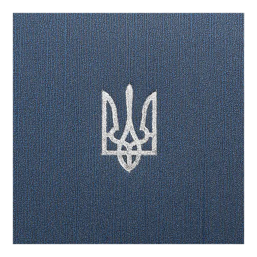 Ежедневник датированный Buromax Powerful 2026 A5 бумвинил/поролон синий (BM.21124-02) - фото 4