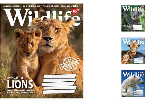 Зошити учнівські 18 аркушів клітинка. YES Wild life, 25 шт. в упаковці