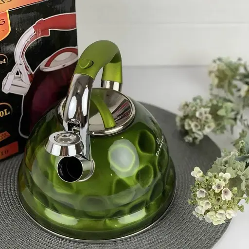 Чайник из нержавеющей стали 3.0 л для индукционной плиты Edenberg EB-1910 зеленый - фото 2