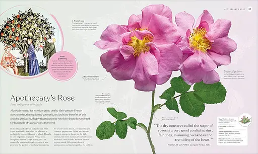 The Herb Book - фото 5