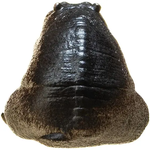 Чайный друг Newtea Веселый Бегемотик - фото 4