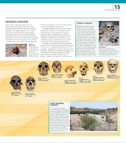 The Definitive Visual Guide: Complete Human Body - фото 4