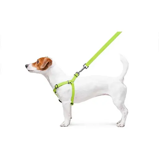 Шлея для собак Waudog Waterproof водостійка з QR паспортом, металічна пряжка-фастекс, салатовий - фото 8