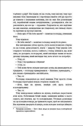 Половина жовтого сонця - фото 7