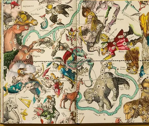 Cellarius Atlas - фото 19