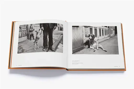 Magnum Dogs - фото 3