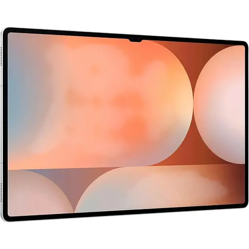 Планшет Samsung Galaxy S10 Ultra Wi-Fi 12/256GB Platinum Silver (SM-X920NZSR) Global version - фото 4