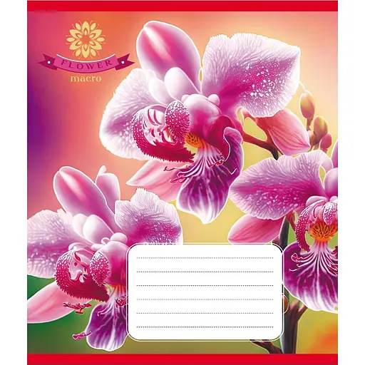 Зошит учнівський "Орхідея" Leader 036-570137K-5 в клітинку, 36 аркушів - фото 1
