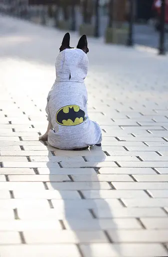 Комбінезон для собак Waudog Clothes малюнок "Бетмен лого", софтшелл, S30, B 50-55 см, С 35-39 см [CD] - фото 5