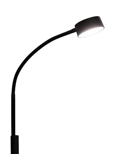 Торшер Goldlux 330093 Bruno LED 1x3W 3000K/4000K/6500K 400Lm IP20 чорний - фото 3