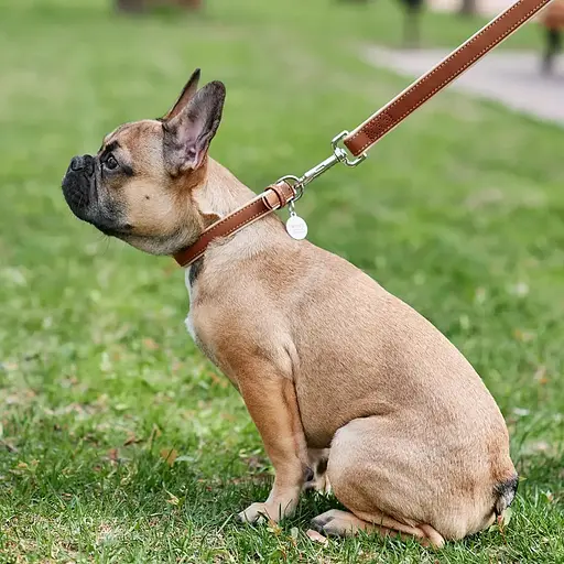 Поводок для собак Waudog Soft кожаный Ш 18 мм, Дл 122 см коричневый - фото 3