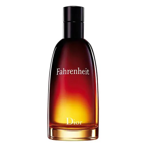 Туалетная вода мужская Dior Fahrenheit, 100 мл