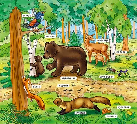 Мій перший словничок. У лісі - фото 2