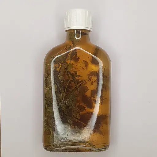 Водна настойка на листі чорниці 200 мл - фото 2