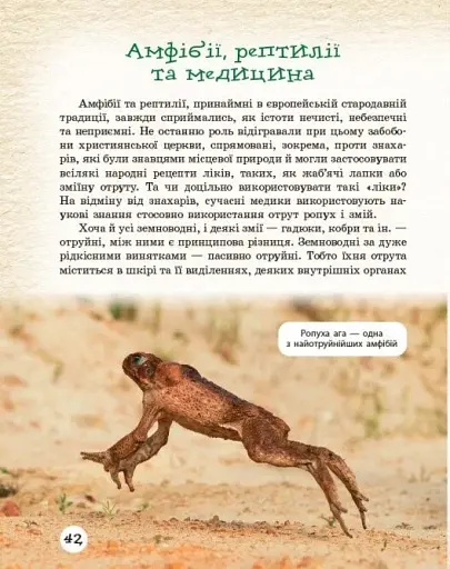 Тварини навколо нас - фото 9