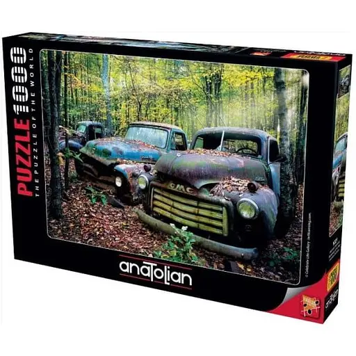 Пазл Anatolian Воспоминания о прошлом 1000 эл. (1021)