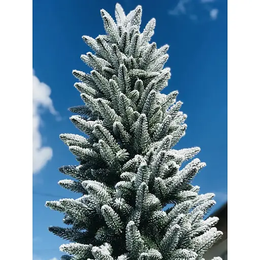 Елка Hvoya Альпийская 220 см литая заснеженная - фото 4