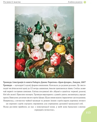 Зелений вінок планети. Рослини й людство - фото 13