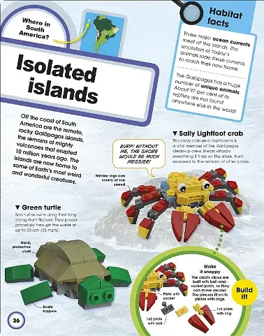 LEGO Animal Atlas - фото 5