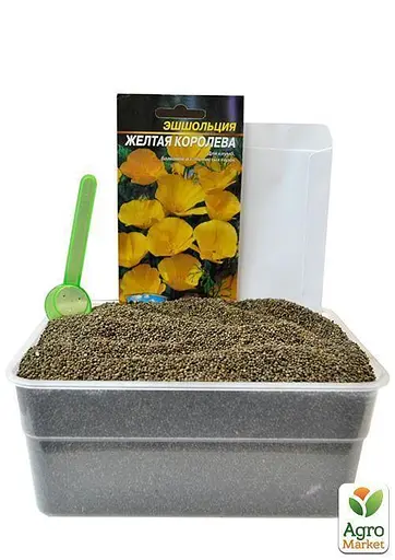 Эшшольция "Желтая Королева" Весна 2г (22466) - фото 2