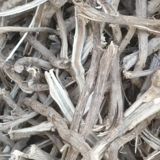 100 г корень травянистой бузины сушеный