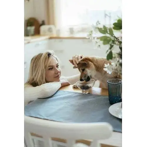 Хрусткі ласощі Savory для здоров'я шкіри та шерсті собак, лосось та чорнобривці 200 г - фото 4