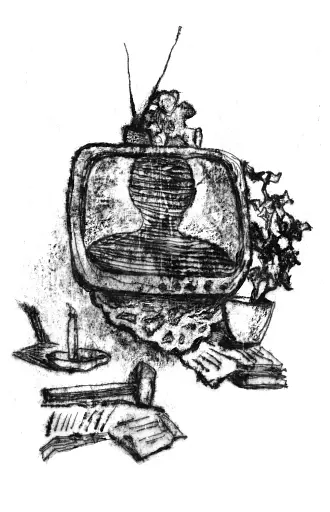 Над прірвою в іржі - фото 6