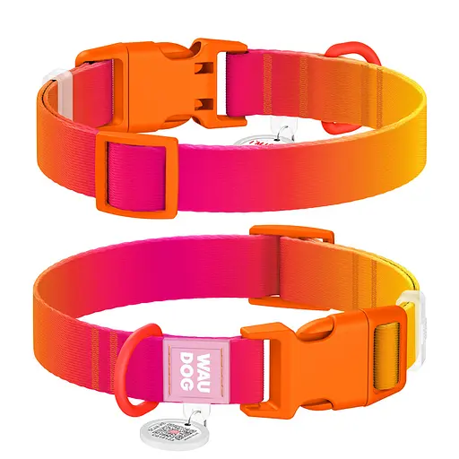 Ошейник для собак из нейлона Waudog Nylon Recycled с QR-паспортом градиент пластиковый фастекс L Ш 25 мм Д 33-49 см