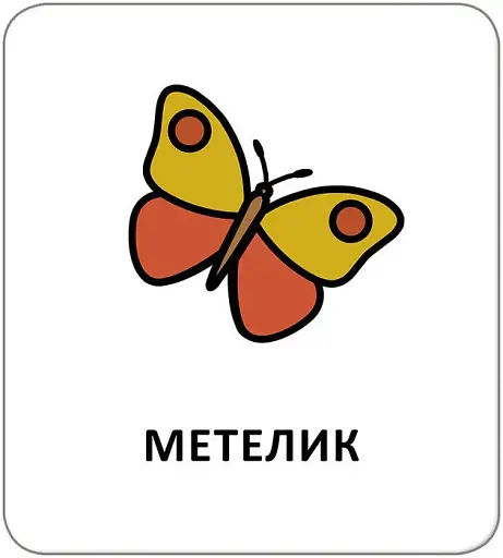 Картки з піктограмами. Тварини - фото 4