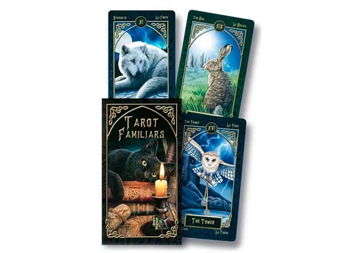 Карты Таро Fournier Фамильяров (Familiars Tarot by Lisa Parker) (ВР_КТФ) - фото 3